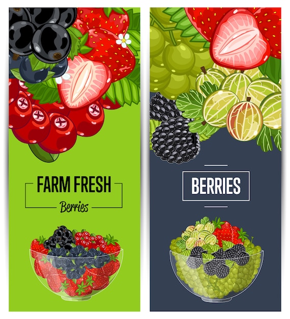 Conjunto de panfleto de frutas frescas de fazenda