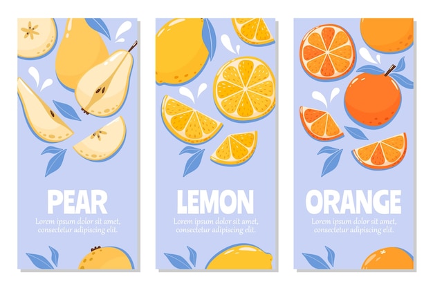 Conjunto de panfletos de frutas de temporada Laranja-limão-perra com espaço para texto Ilustração vetorial de verão