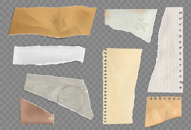 Conjunto de papel rasgado realista