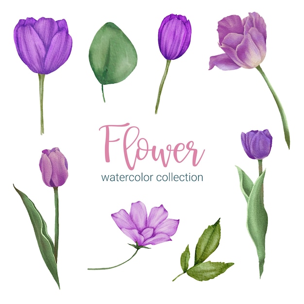 Conjunto de partes separadas e reunir um lindo buquê de flores em estilo de cores de água em ilustração vetorial plana de fundo branco