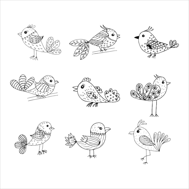 Conjunto de pássaros estilizados desenhados à mão engraçados