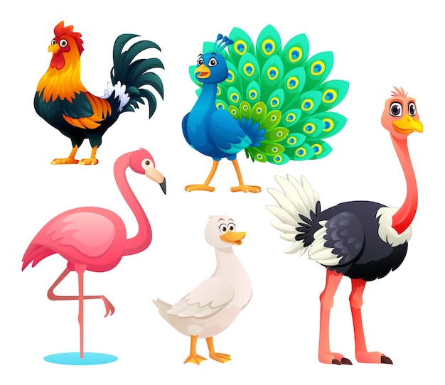 Conjunto de pássaros ilustração de desenho animado vetorial galo pavão flamingo pato e avestruz