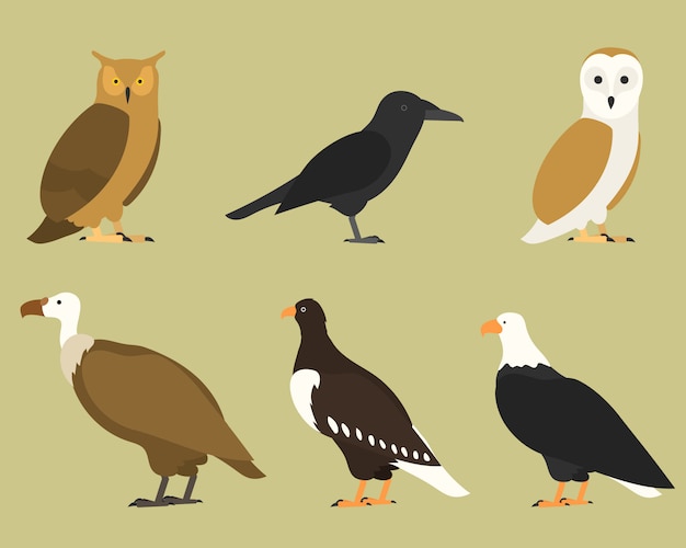 Conjunto de pássaros, no fundo. tropical e doméstico diferente, estilo cartoon simples para logotipos.