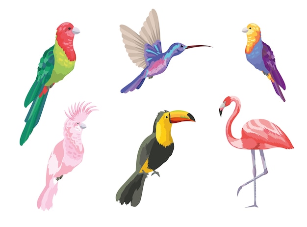Conjunto de pássaros tropicais natureza exótica