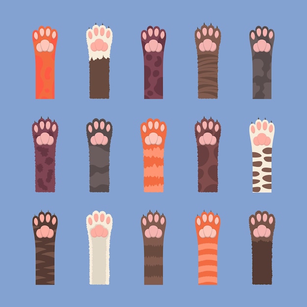 Vetor conjunto de patas fofas de gatos multicoloridos
