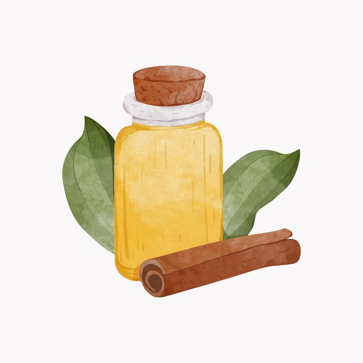 Vetor conjunto de paus de canela com folhas e ilustração vetorial de estilo aquarela de óleo