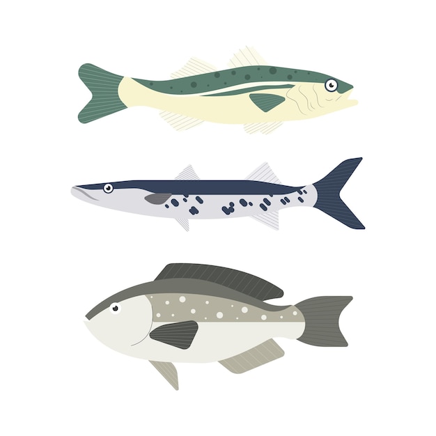 Conjunto de peixes do rio. Peixes isolados no fundo branco. Ilustração vetorial.