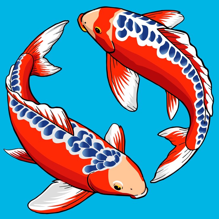 Vetor conjunto de peixes shushui koi para pacote premium