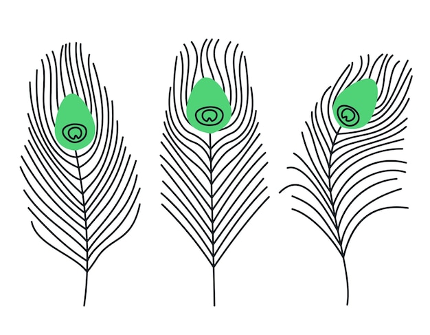 Vetor conjunto de penas de pavão em estilo doodle