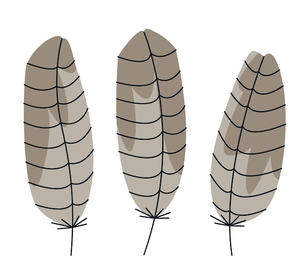 Vetor conjunto de penas de urubu em estilo doodle