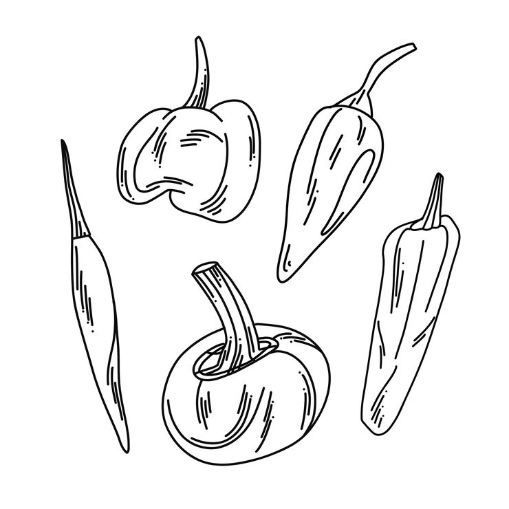 Vetor conjunto de pequenas pimentas de diferentes formas em estilo doodle ilustração de vegetais quentes e gregários