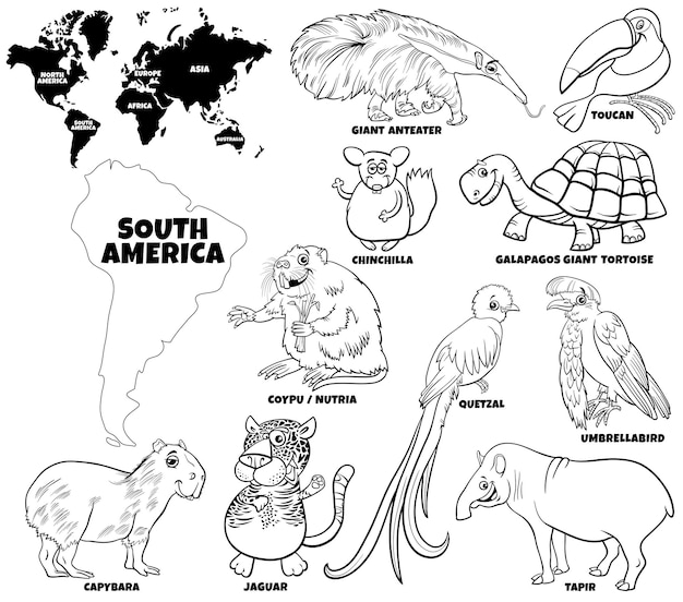 Conjunto de personagens de animais da américa do sul e mapa-múndi