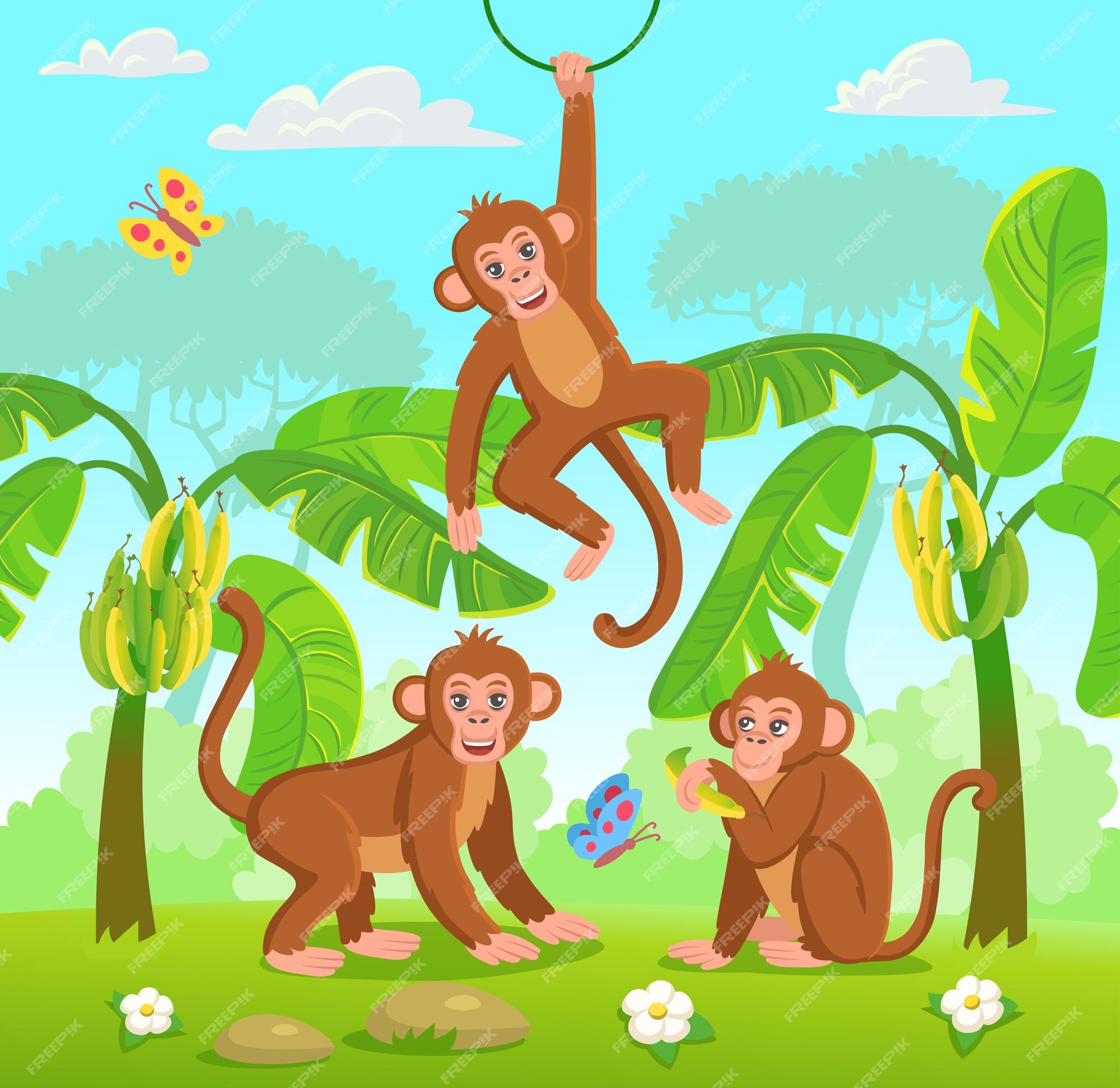 Ilustração em vetor macaco bebê fofo. personagem de desenho