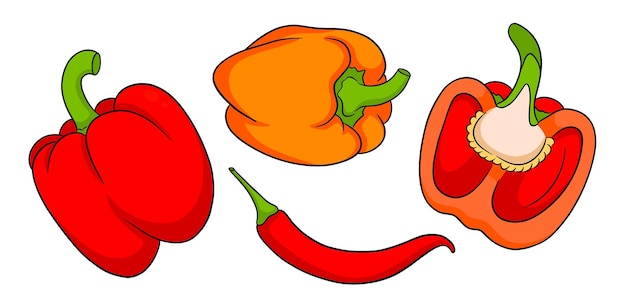 Conjunto de pimenta pimentões frescos e pimentas em um estilo de desenho animado ilustração vetorial para design e decoração