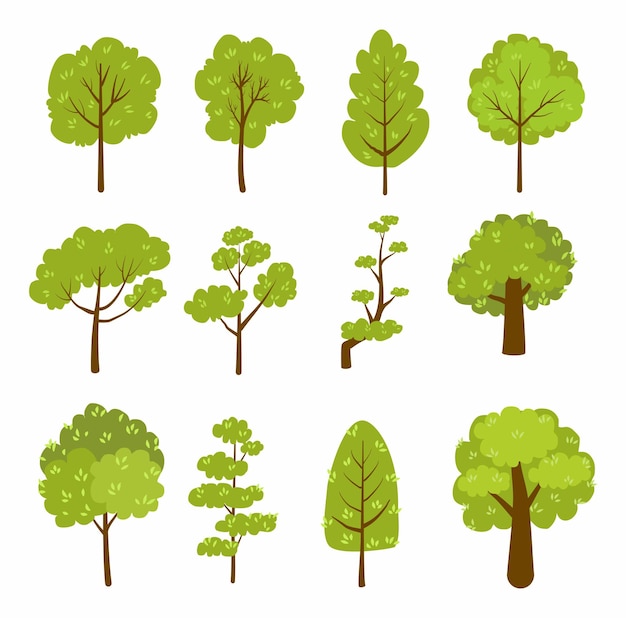 Conjunto de planta e árvore