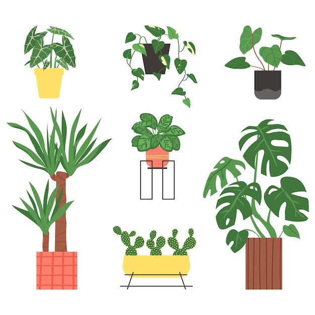 Conjunto de plantas caseiras isoladas em um fundo branco. ilustração vetorial em estilo simples