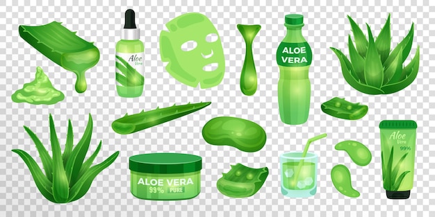 Vetor conjunto de plantas de aloe vera suculentas de farmácia e elementos para produtos cosméticos