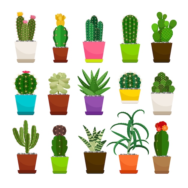Conjunto de plantas de casa de cacto em vasos de flores