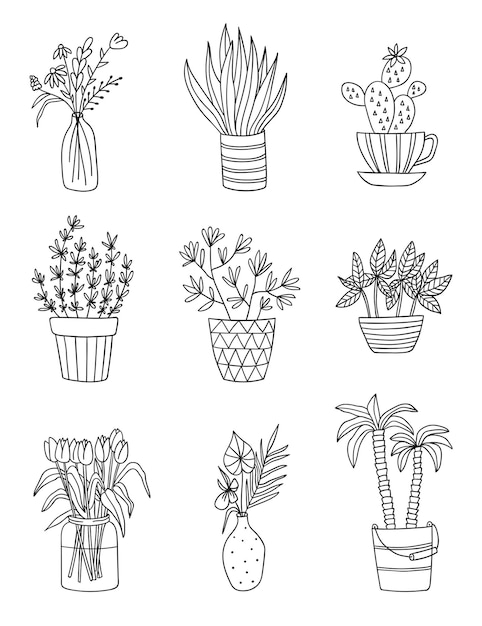 Conjunto de plantas de casa isoladas esboço de esboço de vetor de planta em ilustração de vaso