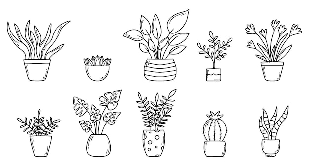 Conjunto de plantas de interior em estilo doodle Plantas de casa ilustração vetorial Flores em casa em vasos