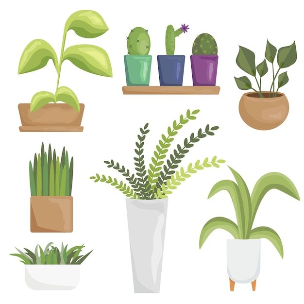 Conjunto de plantas de interior, verdes em vasos. flor em um vaso. vasos para ícones de coleção indoor.garden