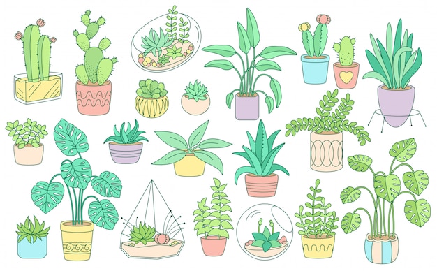 Conjunto de plantas decorativas, em vasos de cerâmica grande linha. cor casa plana linear dos desenhos animados flor interior. plantas suculentas casa, coleção de cactos, monstera, vaso de aloe. ilustração isolada