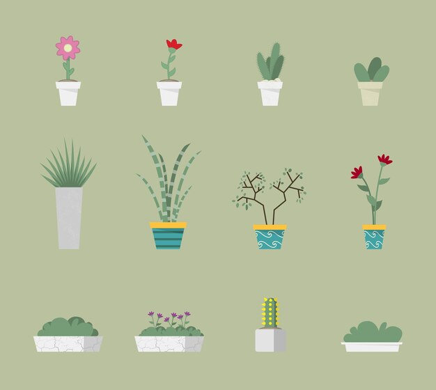 Conjunto de plantas diferentes