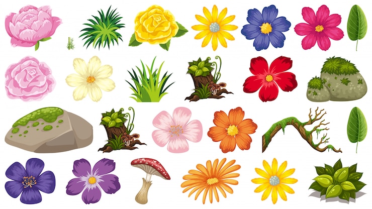 Vetor conjunto de plantas ornamentais