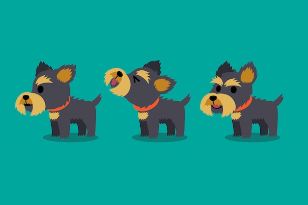 Conjunto de poses de cão de yorkshire terrier de personagem de desenho de vetor