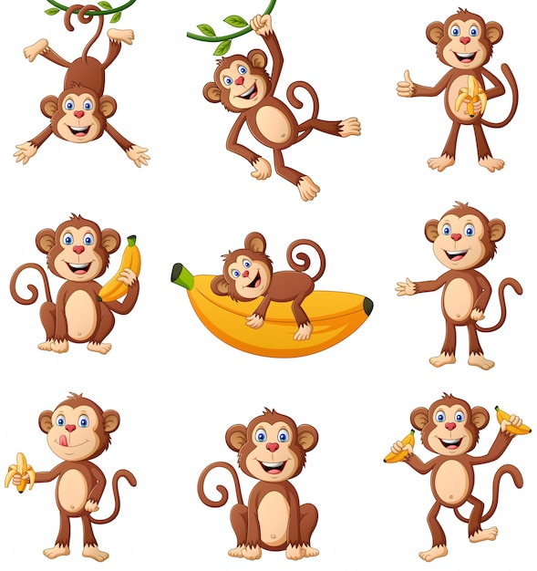 Desenho animado macaco bonito imagem vetorial de irwanjos2© 95757284