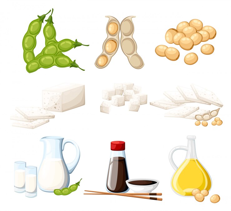 Vetor conjunto de produtos de soja, leite e óleo em jarra de vidro, molho de soja em garrafa transparente de tofu e ilustração de comida vegetariana orgânica de feijão na página do site e aplicativo móvel com fundo branco