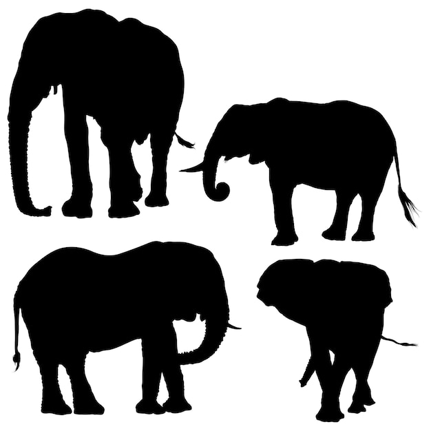 Conjunto de quatro silhuetas de elefantes