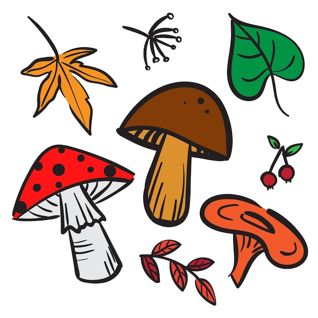Vetor conjunto de rabiscos de cogumelos e folhas de outono isolado em branco