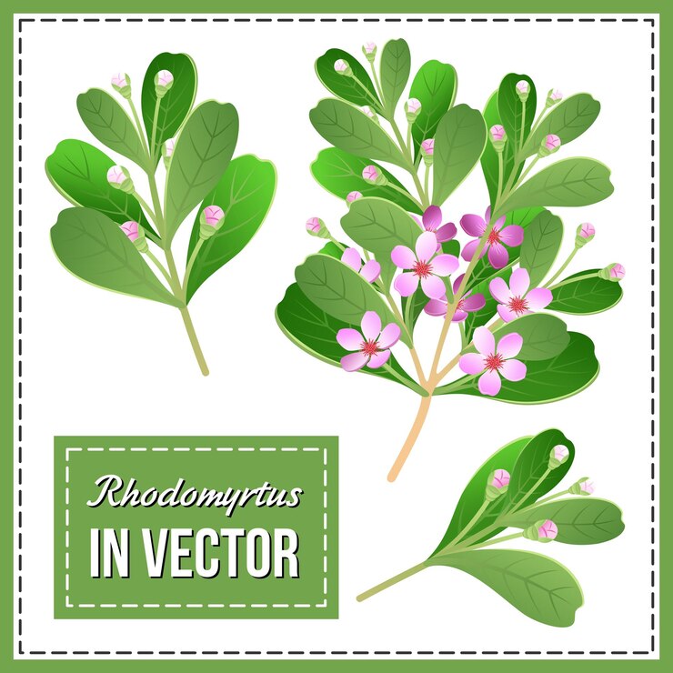 Vetor conjunto de ramos de florescência de cereja em um vetor