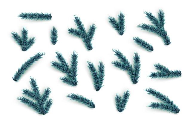 Vetor conjunto de ramos e elementos de árvore de abeto coleção de peças de árvore de natal de vetor azul