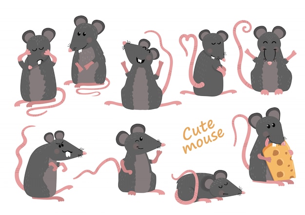 Conjunto de ratos cute em várias poses em estilo cartoon