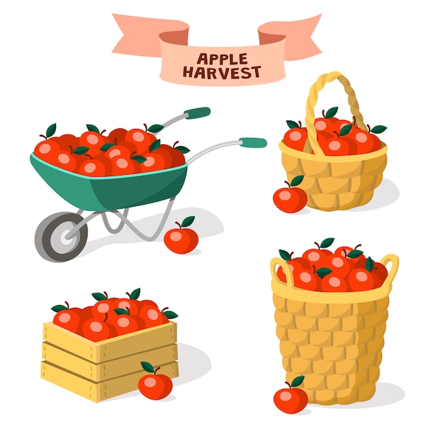 Vetor conjunto de recipientes para maçãs. colheita de maçã. carrinho de mão de jardim, caixa de madeira, cestos de maçã.
