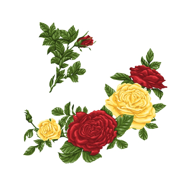 Conjunto de rosas amarelas e vermelhas, buquês, flores e botões.