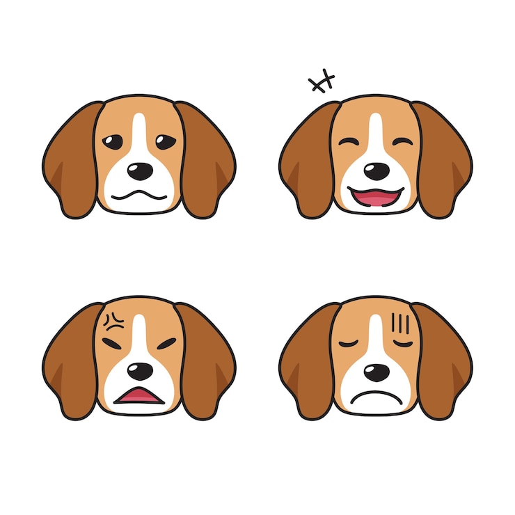 Vetor conjunto de rostos de cachorro beagle com diferentes emoções