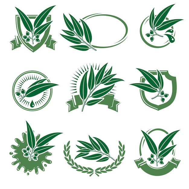 Conjunto de rótulos e ícones de eucalipto ícone de coleção vetor de eucalipto