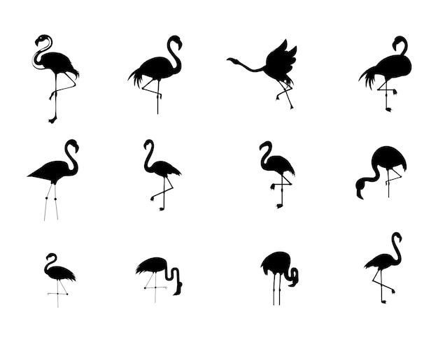 Vetor conjunto de silhueta de flamingo ícones de flamingo em pose diferente conjunto de flamingo