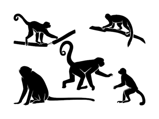 Vetor conjunto de silhueta de macacos isolado em uma ilustração vetorial de fundo branco