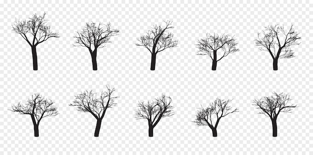 Conjunto de silhuetas de árvores nuas desenhadas à mão isolado outono primavera outono vetor