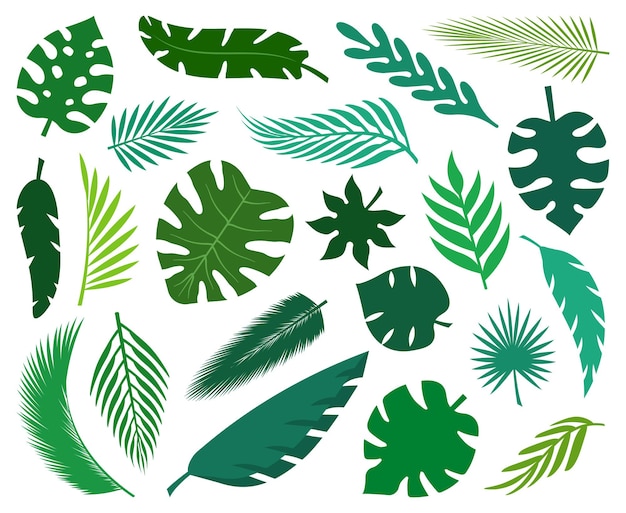 Conjunto de silhuetas de folhas tropicais folhas de palmeira