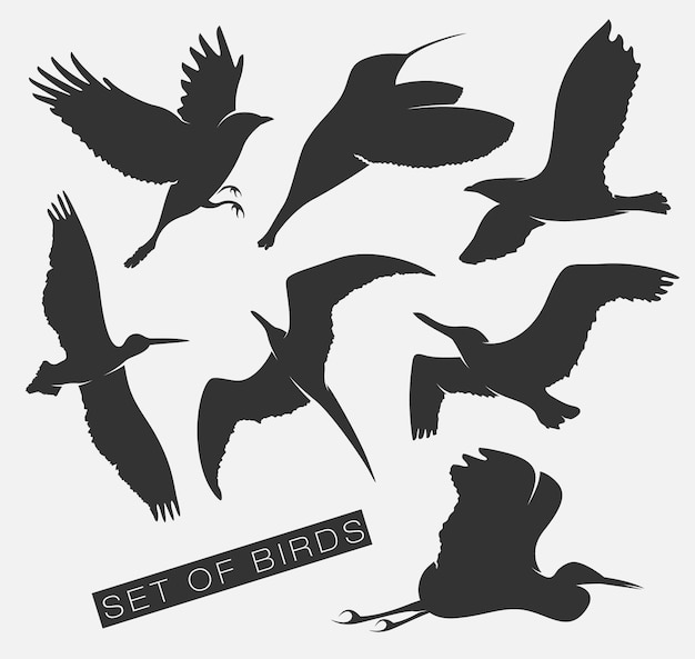 Conjunto de silhuetas de ilustrações de gaivotas de pássaros.