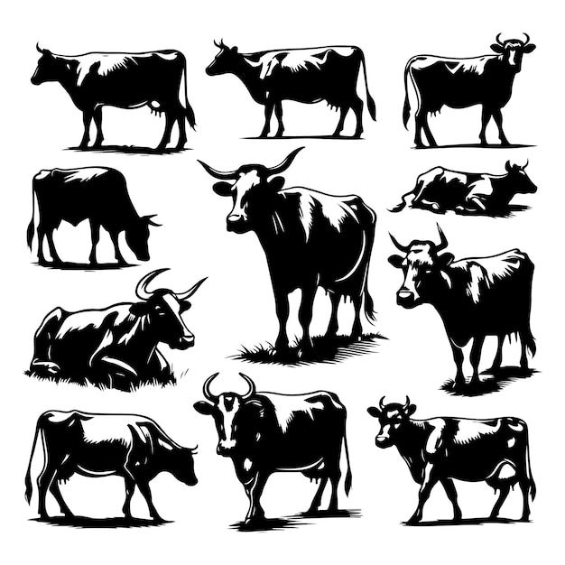 Vetor conjunto de silhuetas de vacas isoladas em um fundo branco ilustração vetorial