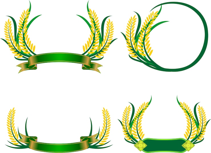 Vetor conjunto de símbolos de agricultura de vetor de quadro de arroz