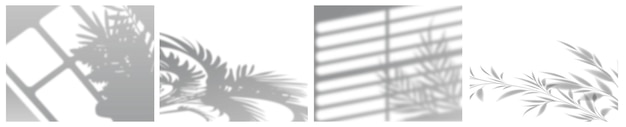 Conjunto de sobreposições de fundo de sombra sombra realista mock up cenas tropicais deixa sombra mockup com palmeira deixa ilustração vetorial de sombra