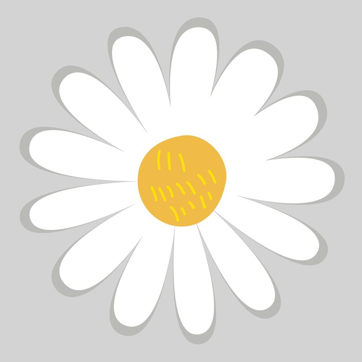 Vetor conjunto de sublimação de clipart de flor de margarida