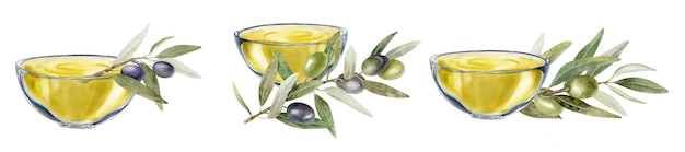 Conjunto de tigelas de óleo de oliva virgem extra Ramos de oliveira Folhas e frutos Ilustração em aquarela